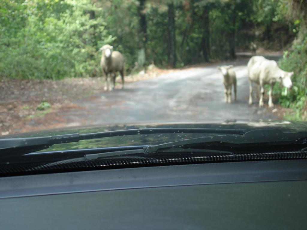 Winlu Vacation Farm Villa Ren'ai Esterno foto